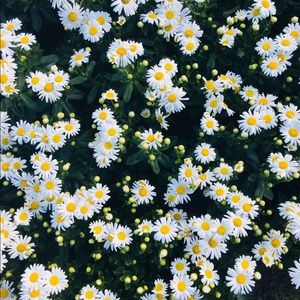 Meet your Posher, Juliana